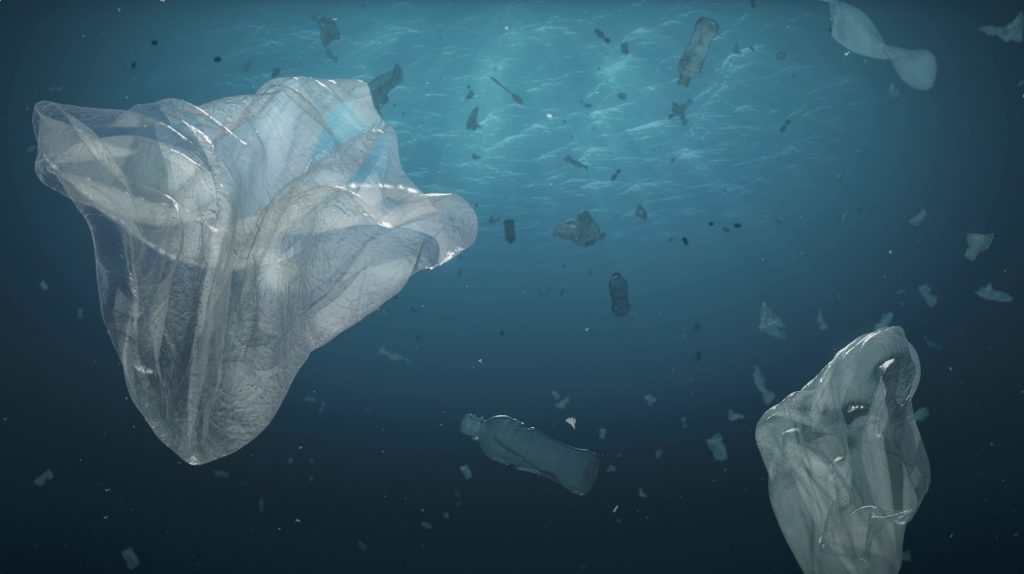 Ett initiativ för insikt om, uppskattning av och respekt för naturens resurser. En motståndsrörelse mot inaktivitet, senfärdighet och kortsiktighet.